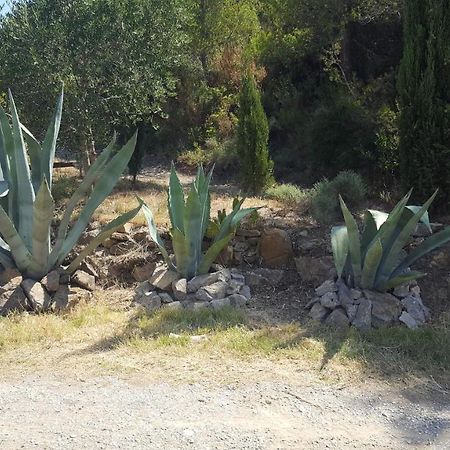 La Loubiere, Ancienne Bergerie En Pleine Garrigue Acomodação com café da manhã Fraissé-des-Corbières Exterior foto