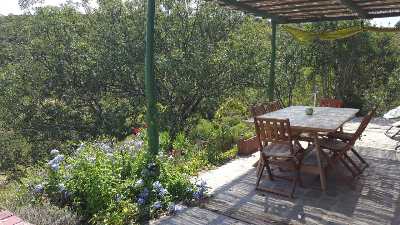 La Loubiere, Ancienne Bergerie En Pleine Garrigue Acomodação com café da manhã Fraissé-des-Corbières Exterior foto