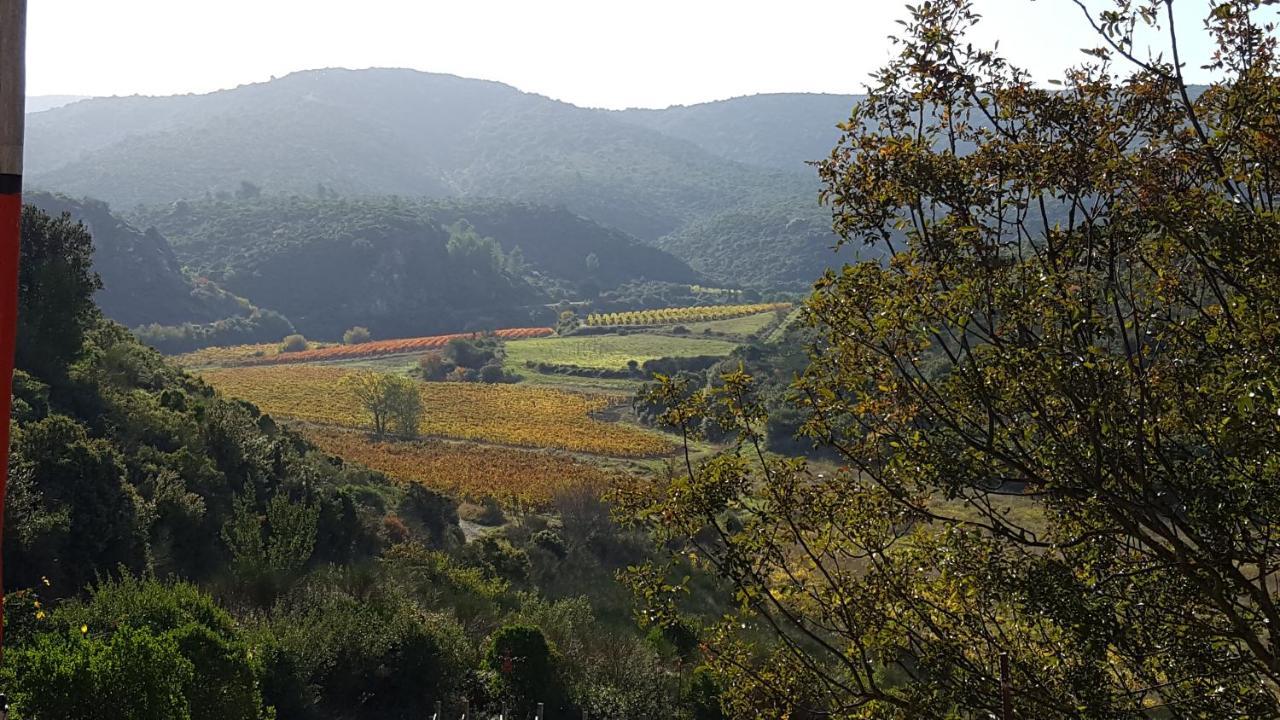 La Loubiere, Ancienne Bergerie En Pleine Garrigue Acomodação com café da manhã Fraissé-des-Corbières Exterior foto