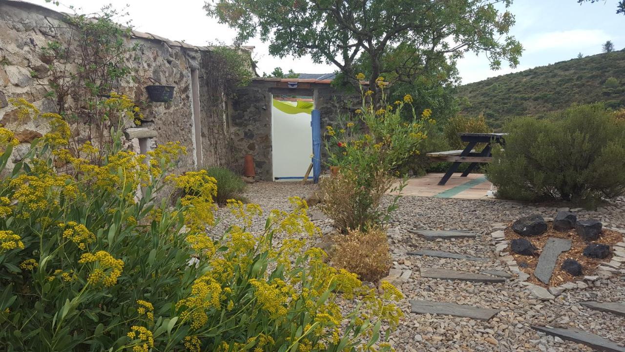 La Loubiere, Ancienne Bergerie En Pleine Garrigue Acomodação com café da manhã Fraissé-des-Corbières Exterior foto