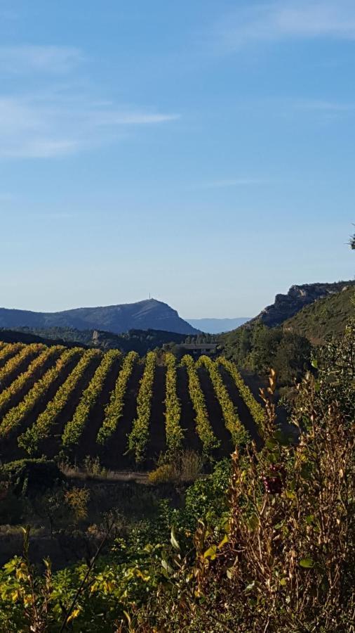 La Loubiere, Ancienne Bergerie En Pleine Garrigue Acomodação com café da manhã Fraissé-des-Corbières Exterior foto