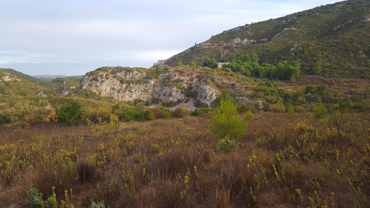 La Loubiere, Ancienne Bergerie En Pleine Garrigue Acomodação com café da manhã Fraissé-des-Corbières Exterior foto