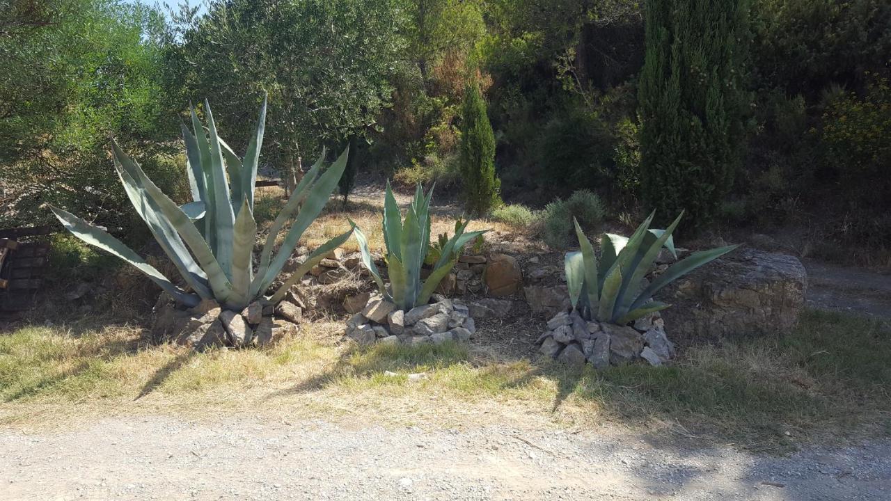 La Loubiere, Ancienne Bergerie En Pleine Garrigue Acomodação com café da manhã Fraissé-des-Corbières Exterior foto